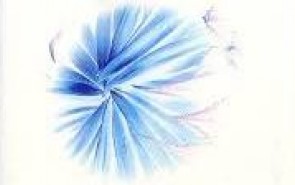 دختران به عفاف روی می‌آورند