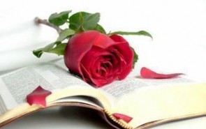 انتظار از دستگاه‌های دولتی در بحث مهجوریت‌زدایی از قرآن بالاست