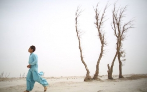 «سیستان فراموش شده» در تهران