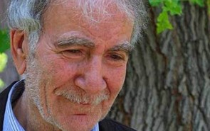 نگاهی به تحقیر عقل در افکار ابن‌تیمیه