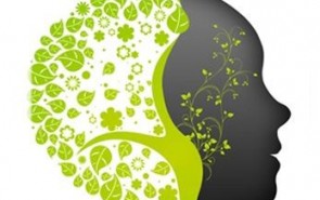 "هيچ چيز از بين نمي رود" در گفت‌وگو با رابرت بلا درباره‌ کتاب «دین در تکامل انسان»