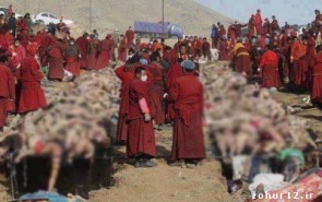 سلاخی‌مسلمین میانمار در سایه سکوت ما /دامن تکفیر چرا باید مسلمانان را بگیرد؟