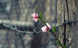 استقبال دانش‎آموزان هندو مذهب از مدارس اسلامی در هندوستان