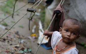 تلاش سفیر ویژه سازمان همکاری اسلامی در آمریکا برای حل مشکلات مسلمانان میانمار