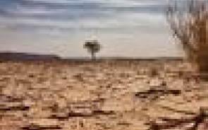 اعلامیه اسلامی درباره تغییرات آب‌وهوایی» در ترکیه تدوین می‌شود